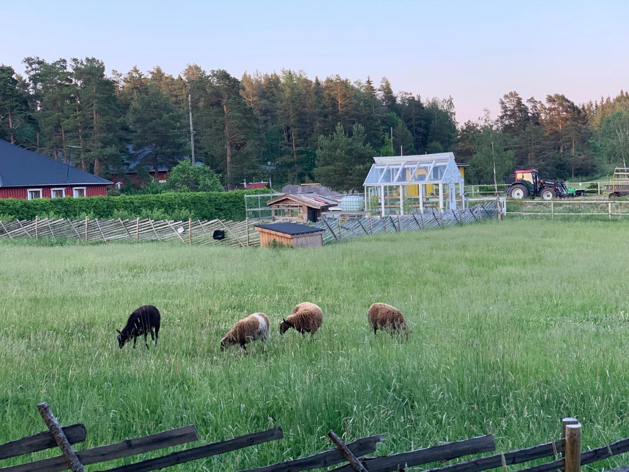 Lomahyppaeys Villa Nådendal Eksteriør bilde