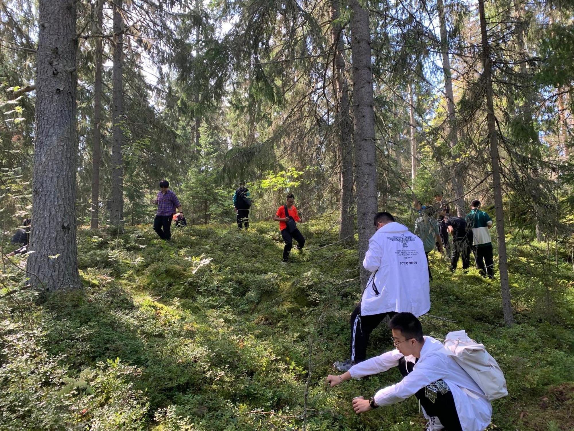 Lomahyppaeys Villa Nådendal Eksteriør bilde